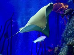 -沈阳海洋探索中心