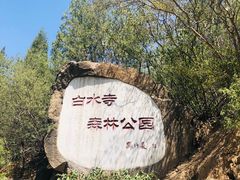 -白水寺森林公园
