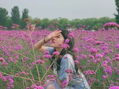 -北京东方普罗旺斯薰衣草庄园