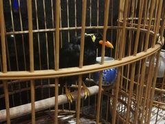 -到家尝北京菜(西坝河店)