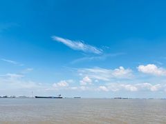-上海滨江森林公园
