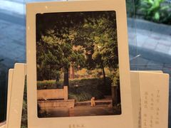 -猫的天空之城概念书店(杭州南宋御街店)