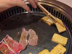 -杨记齐齐哈尔烤肉(总店)