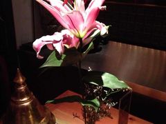 -花马天堂云南餐厅 Lost Heaven(高邮路店)