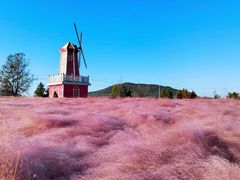 -羊亭河湿地公园