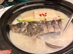 -7017浙菜•建德味(中财店)