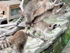 -宁波野生动物园