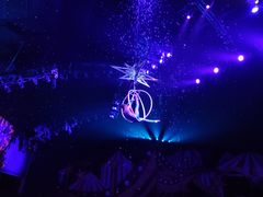 -珠海横琴长隆《卡卡虎奇遇记》