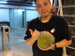 -都念榴莲·城市榴莲