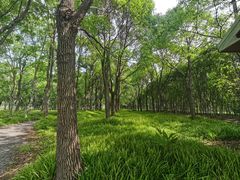 -嘉北郊野公园