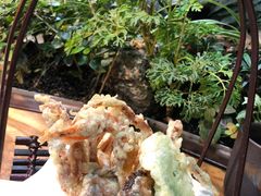 -森味薪火烧•烧鸟居酒屋•日本料理(望京店)
