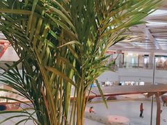 -全明星滑冰俱乐部(万象城店)