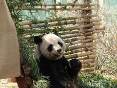 -青岛动物园