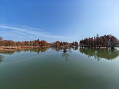 -贡湖湾湿地公园