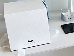 -BLACKSWAN黑天鹅(环球店)