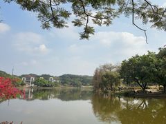 -东莞植物园