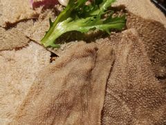 9秒鲜毛肚-蜀江龙火锅(339店)