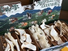 -芸山季·云南山珍菌火锅(南翔印象城MEGA店)