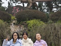 -自贡恐龙博物馆