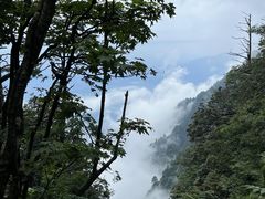 -峨眉山风景名胜区