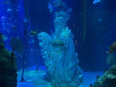 -沈阳海洋探索中心