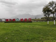 -老号尤兔头(幸福店)