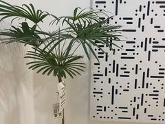 -竹川学社·自助沉浸自习室(海淀黄庄店)