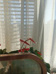 -悟空祛痘·诺奖技术专业店