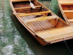 -渌洋湖湿地公园