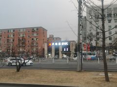 -大鸭梨烤鸭店(花园村店)