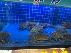 -渔夫蒸鲜(世奥湾店)