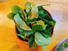 -攀枝花·任德琼·盐边羊肉米线