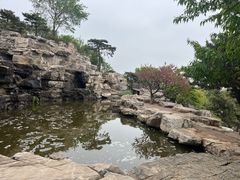 -北京西山国家森林公园