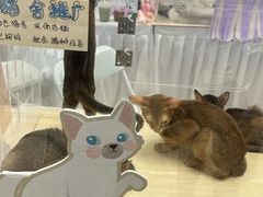 -吾悦广场(南京鼓楼店)