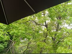 -光明港公园
