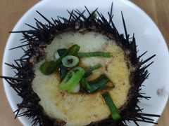 -海胆小馆(东北水饺·春柳店)