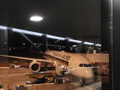 -新加坡航空公司(ION)
