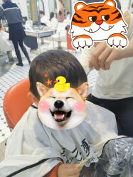 -艺之剪