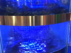 -蛙一刀·麻椒鱼火锅(金仙桥店)