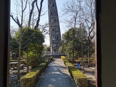 -上海佘山国家森林公园天马山园