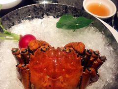 -柒厢食事雅谈