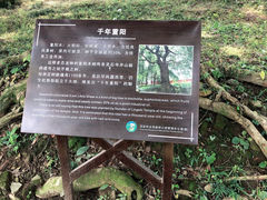 -福清灵石山国家森林公园