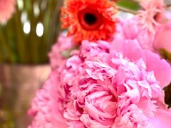 -二酉书店TOYOU BOOKS