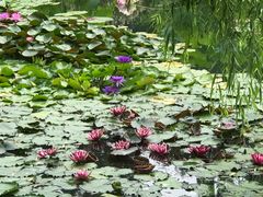 -国家植物园南园