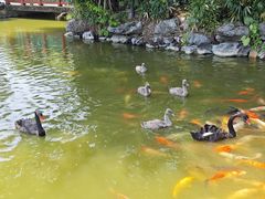 -珠海圆明新园