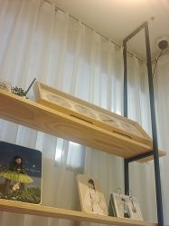 -倾城宝贝儿童摄影(新辰里酒仙桥店)