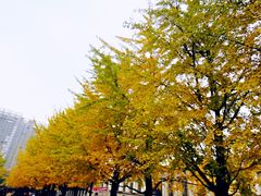 -辽宁大学(崇山校区)