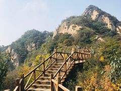 -大岭沟猕猴桃谷风景区