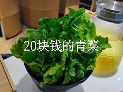 -东椰·海南椰子鸡火锅(朝阳门店)