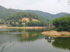 -广州市帽峰山景区